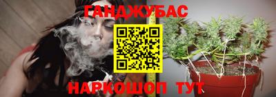 сатива Пенза