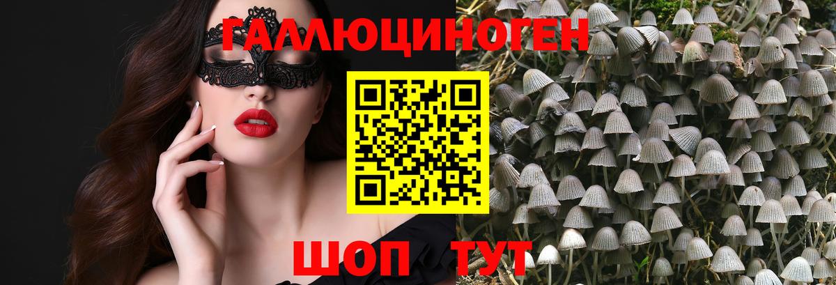 Галлюциногенные грибы мухоморы  Вход с VPN  Галлюциногенные грибы GOLDEN TEACHER  Сарапул 